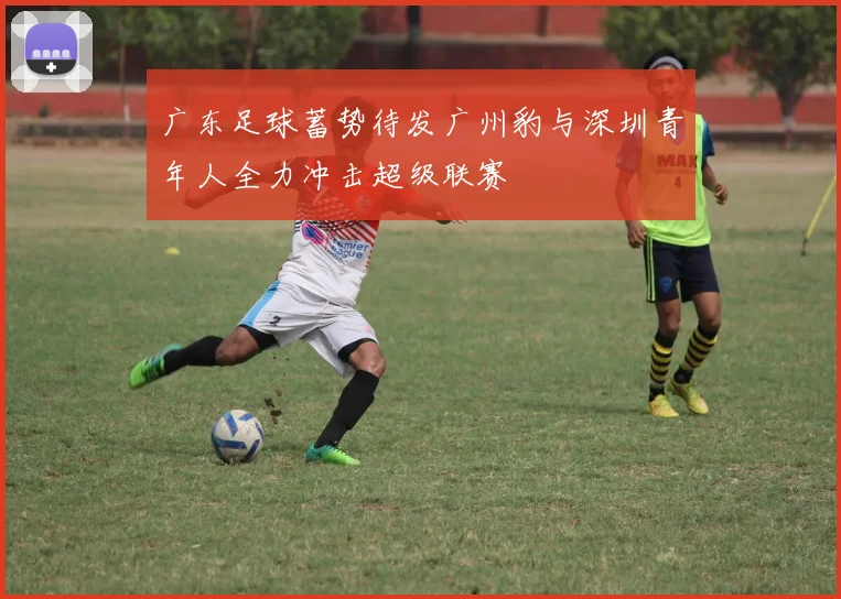 广东足球蓄势待发广州豹与深圳青年人全力冲击超级联赛