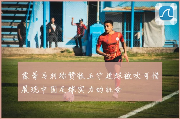 蒙哥马利称赞张玉宁进球被吹可惜展现中国足球实力的机会