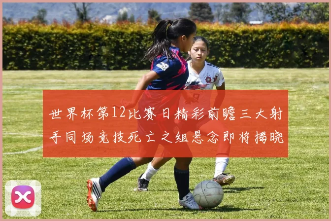 世界杯第12比赛日精彩前瞻三大射手同场竞技死亡之组悬念即将揭晓