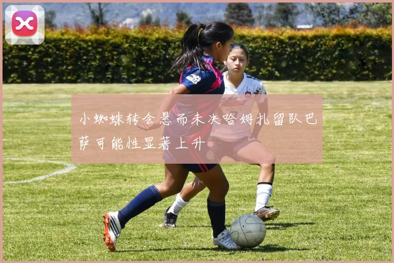 小蜘蛛转会悬而未决哈姆扎留队巴萨可能性显著上升