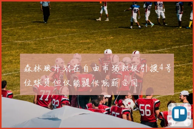 森林狼计划在自由市场积极引援4号位球员但仅能提供底薪合同